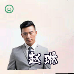 赵琳